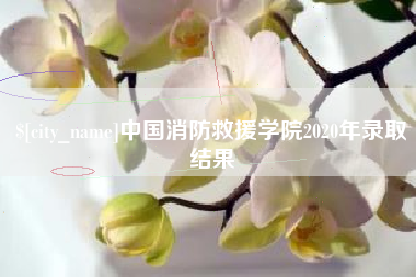 清远中国消防救援学院2020年录取结果