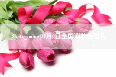 清远11月9日全国消防日图片