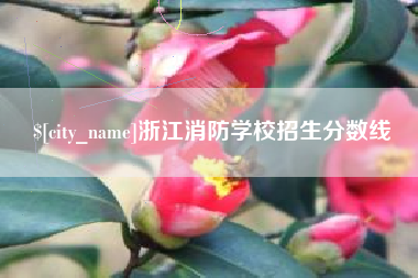 清远浙江消防学校招生分数线