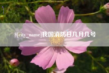 清远我国消防日几月几号