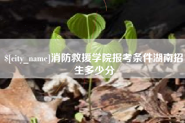 清远消防救援学院报考条件湖南招生多少分