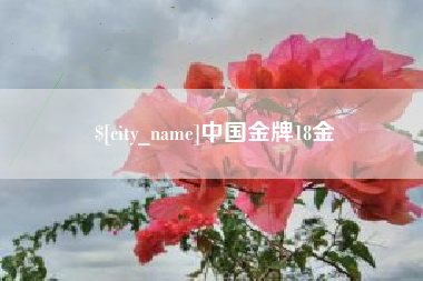 清远中国金牌18金