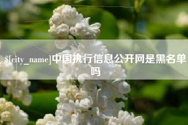 清远中国执行信息公开网是黑名单吗