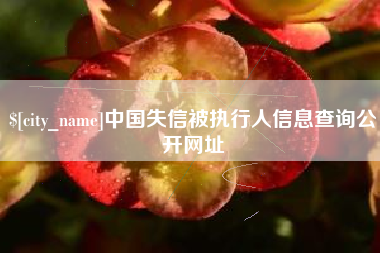 清远中国失信被执行人信息查询公开网址
