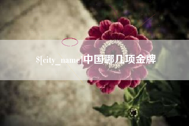清远中国哪几项金牌