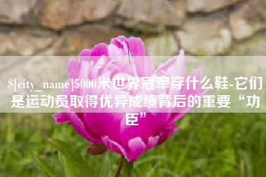 清远5000米世界冠军穿什么鞋-它们是运动员取得优异成绩背后的重要“功臣”