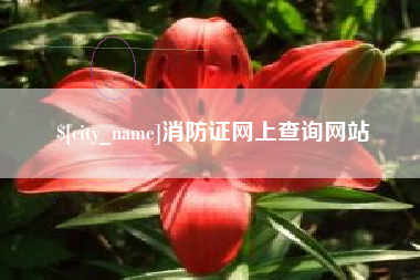清远消防证网上查询网站