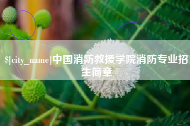 清远中国消防救援学院消防专业招生简章