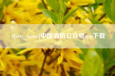 清远中国消防公众号app下载