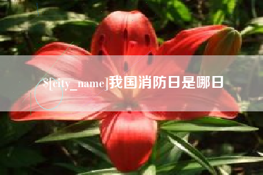 清远我国消防日是哪日