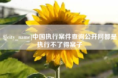 清远中国执行案件查询公开网都是执行不了得案子
