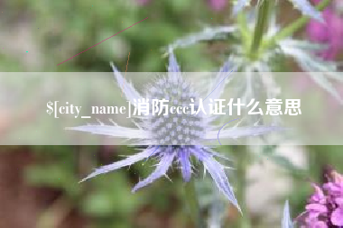 清远消防ccc认证什么意思