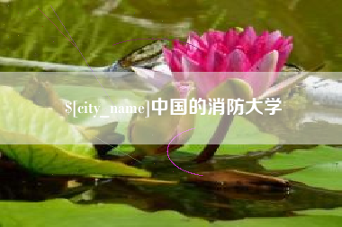 清远中国的消防大学