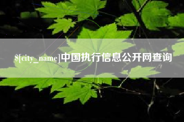 清远中国执行信息公开网查询