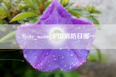 清远全国消防日哪一