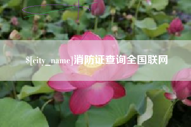 清远消防证查询全国联网