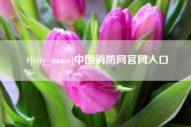 清远中国消防网官网入口
