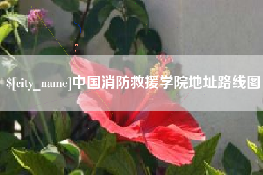 清远中国消防救援学院地址路线图