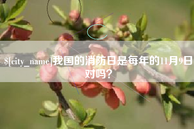 清远我国的消防日是每年的11月9日对吗？