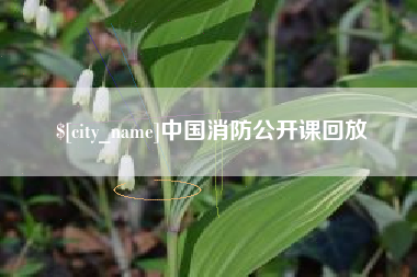 清远中国消防公开课回放