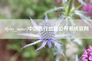 清远中国执行信息公开系统官网