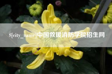 清远中国救援消防学院招生网