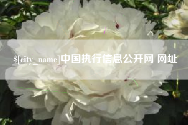 清远中国执行信息公开网 网址
