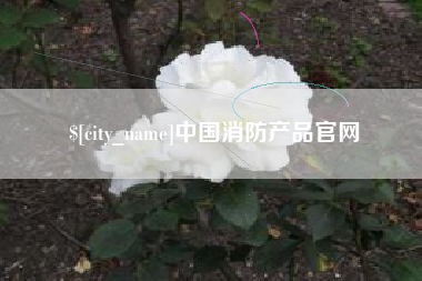 清远中国消防产品官网