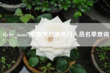 清远中国失信被执行人员名单查询