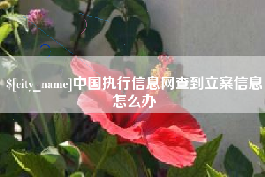 清远中国执行信息网查到立案信息怎么办