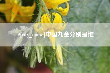 清远中国九金分别是谁