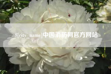 清远中国消防网官方网站
