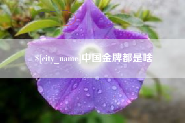 清远中国金牌都是啥