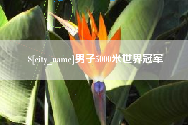 清远男子5000米世界冠军