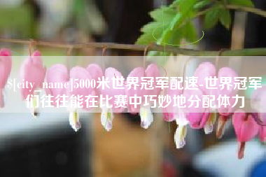 清远5000米世界冠军配速-世界冠军们往往能在比赛中巧妙地分配体力