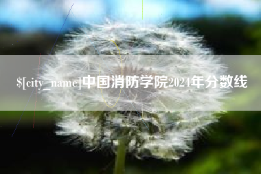 清远中国消防学院2024年分数线