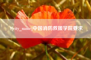 清远中国消防救援学院要求