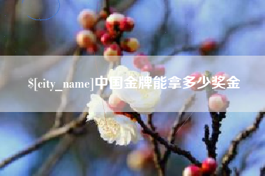 清远中国金牌能拿多少奖金