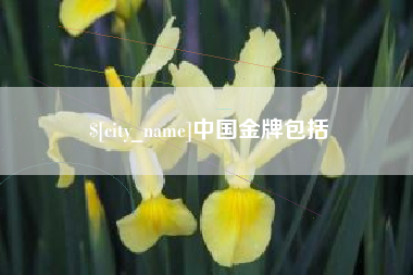 清远中国金牌包括