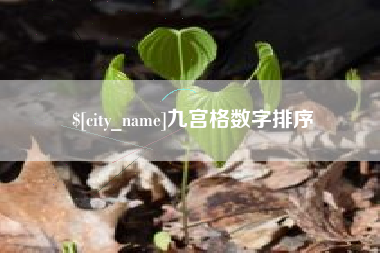 清远九宫格数字排序