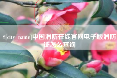 清远中国消防在线官网电子版消防证怎么查询