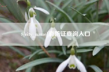 清远消防证查询入口