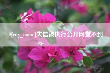 清远失信被执行公开网查不到
