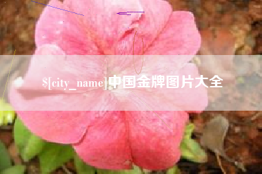 清远中国金牌图片大全