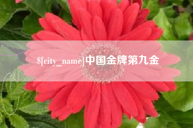 清远中国金牌第九金