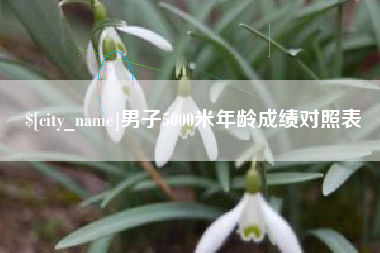清远男子5000米年龄成绩对照表