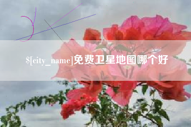 清远免费卫星地图哪个好