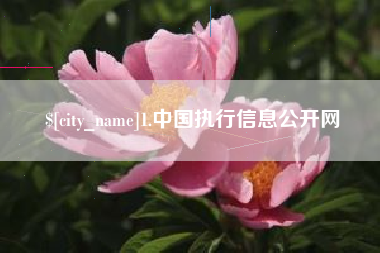 清远1.中国执行信息公开网