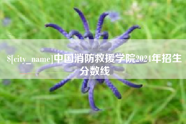 清远中国消防救援学院2024年招生分数线