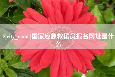 清远国家应急救援员报名网址是什么